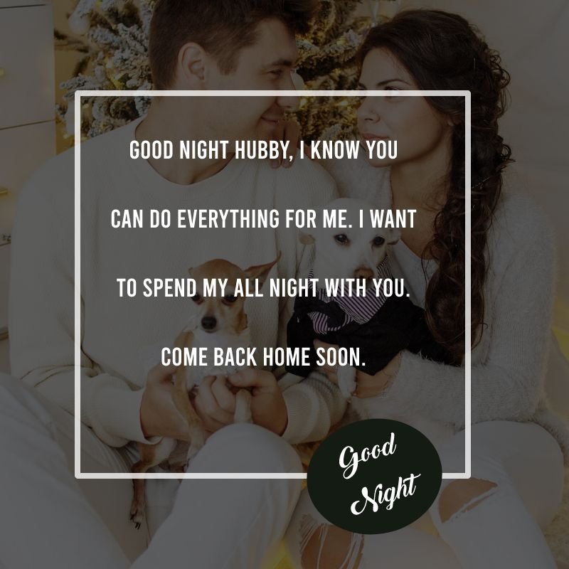 Good Night Hubby Love Message With Cute Puppies Image