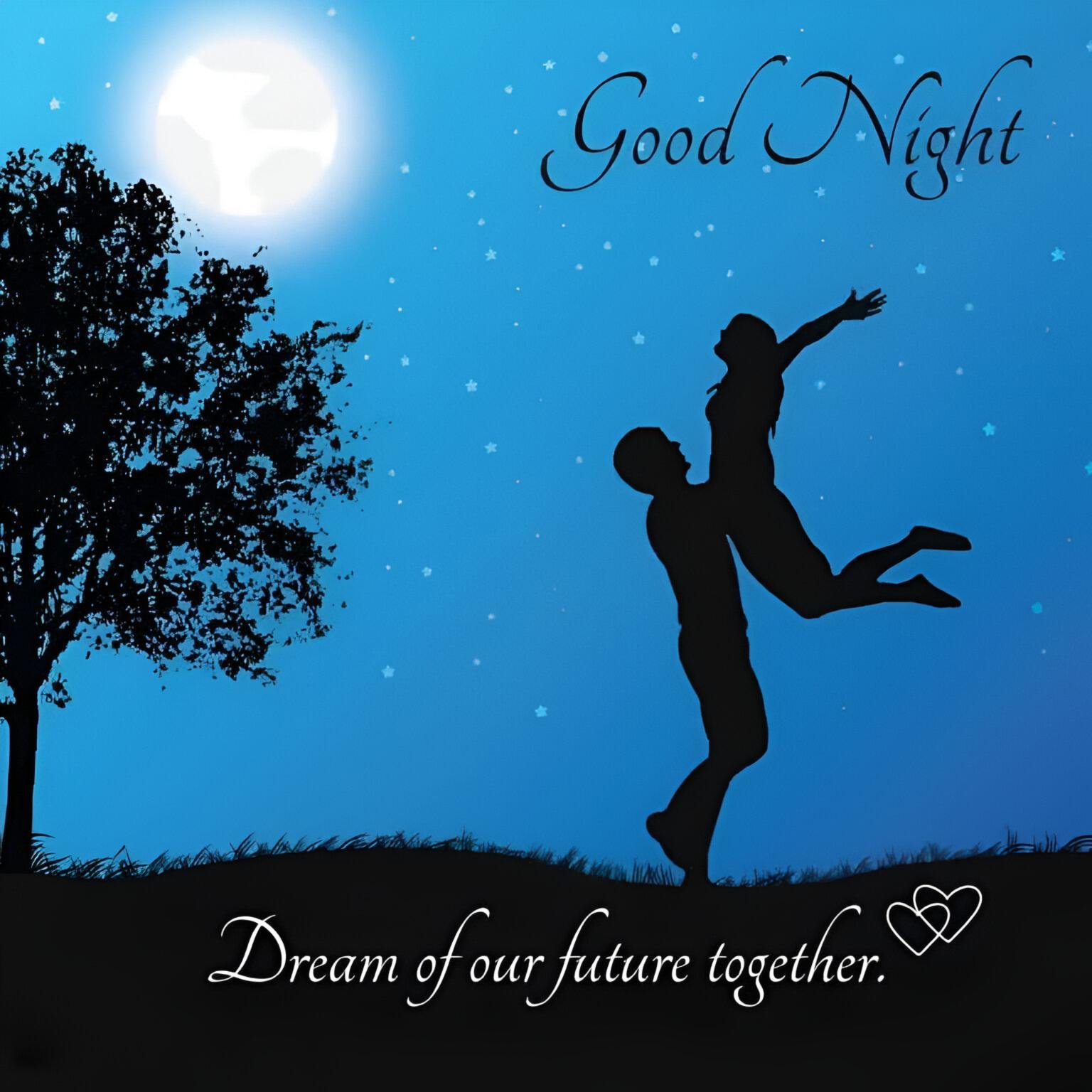 Good Night My Husband Awesome Romantic Pic With Moon And Stars