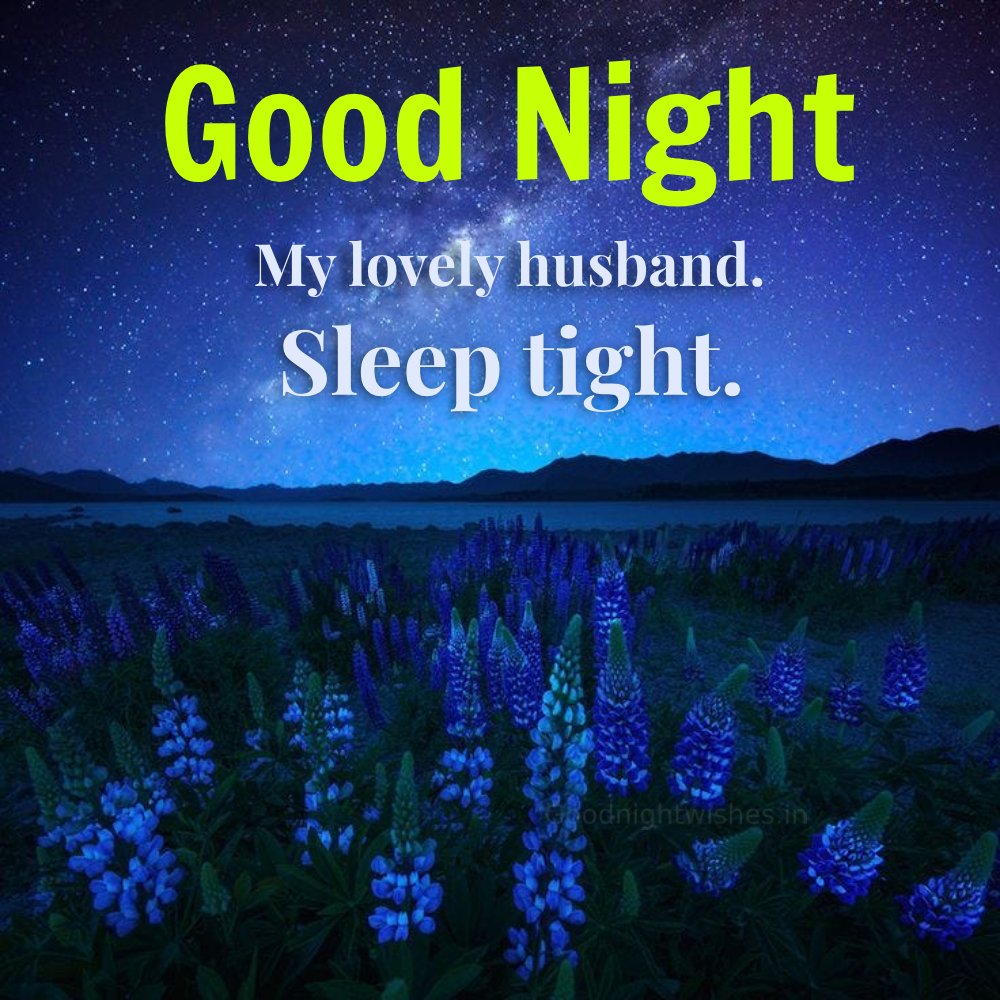 Good Night My Lovely Husband Sleep Tight Image