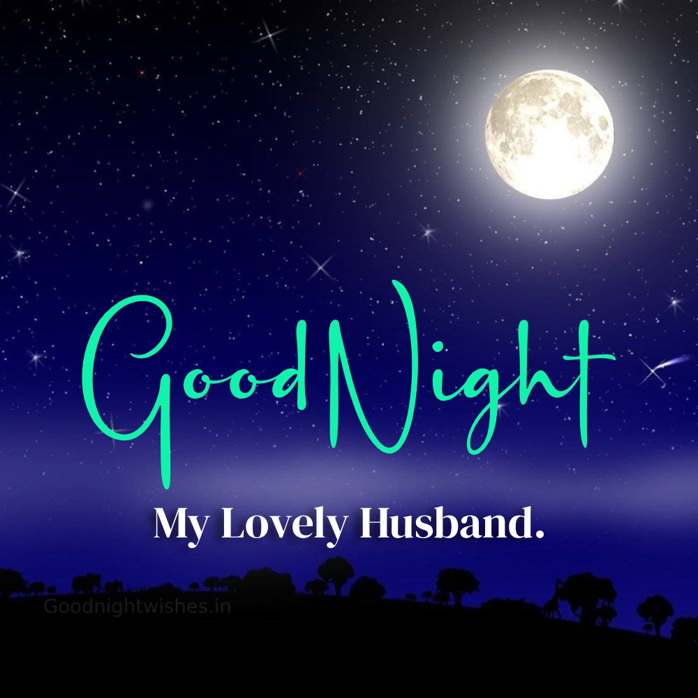 Good Night My Lovely Husband With Moon Image